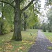 Pastel